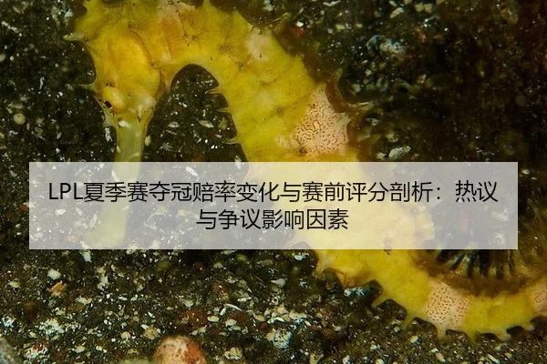 LPL夏季赛夺冠赔率变化与赛前评分剖析：热议与争议影响因素